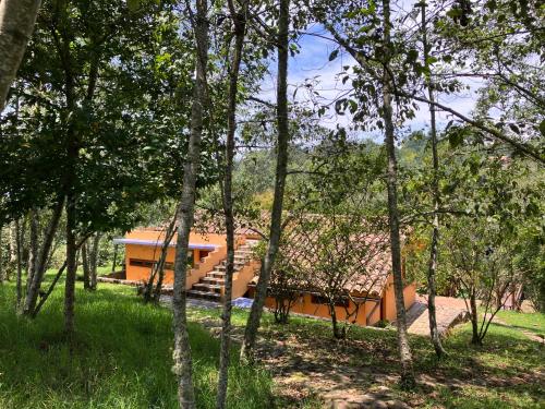 PASSADHI Ayurveda & Yoga Retreat - image 2