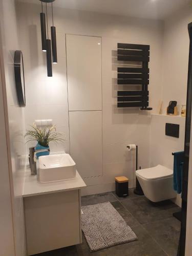 Apartament na Wodnej in 莫斯納