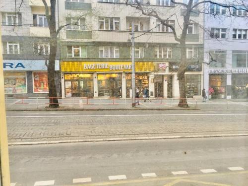 Hotel Apartment in Prague 2 Square, Praha (fotografie 9)