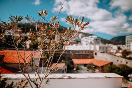 몬테네그로 가성비 호텔 추천 베스트 9