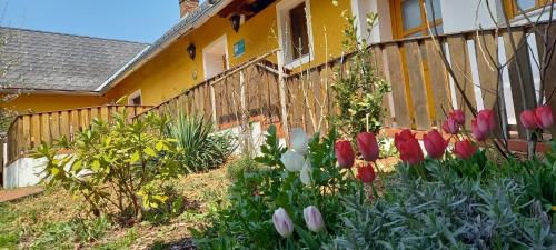 Ferienhaus Bioeck, Ferienwohnung in Mühlgraben
