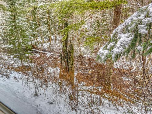 Clear Creek Mt Hood Retreat - Meredith Lodging