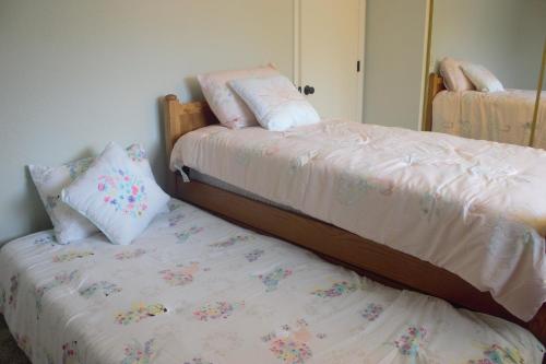 Amazing 4 Bedroom House with nice Backyard in Littleton, USA