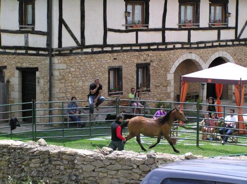Jāšana, Neithea in Villamardones