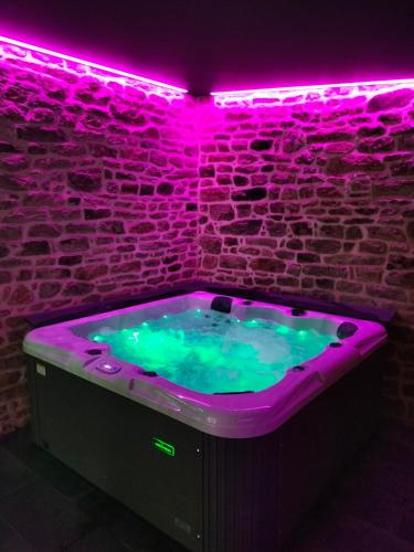 le jardin Médicis avec spa et sauna
