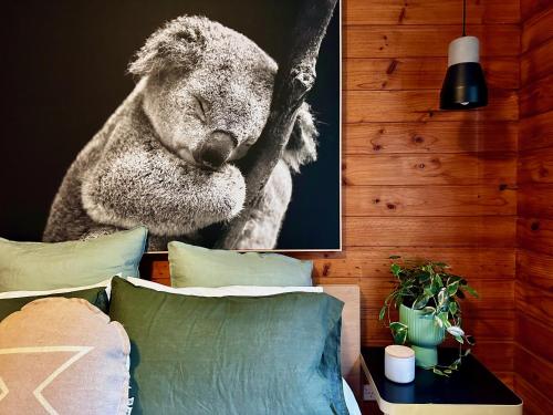 Kangaroo Valley Timber Cabin - Bolong