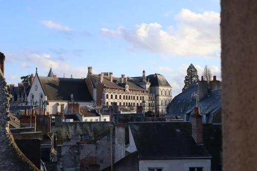 Appart'Hôtel Blois vue Château - Location saisonnière - Blois