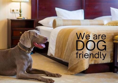 Hotel Devín - image 9