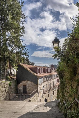 Timbre Virtudes, Oporto