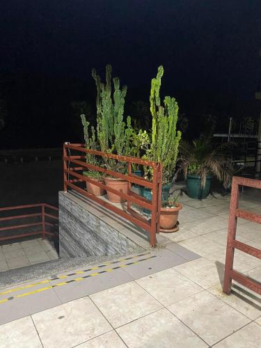 All seasons in Gonio beach - Apartment - Gonio