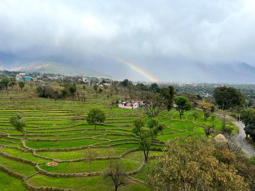 Click Collection The Abode, Dharamshala