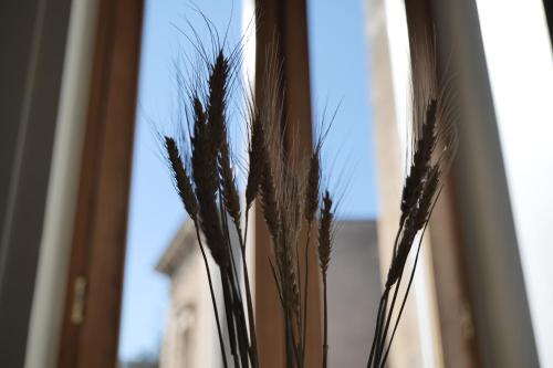 Dimora San Giuseppe - image 11