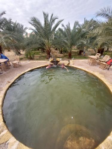 View, Forest Camp Siwa - كامب الغابة in Siwa