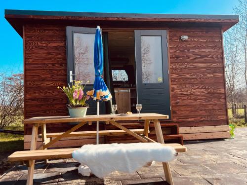  Tinyhouse Spiegelpeer, Pension in Ruinerwold