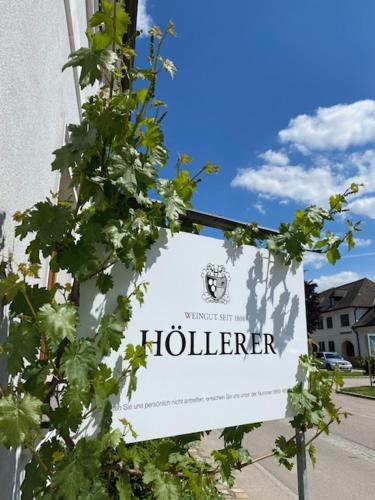 Gästezimmer Weingut Höllerer in Engabrunn, Österreich