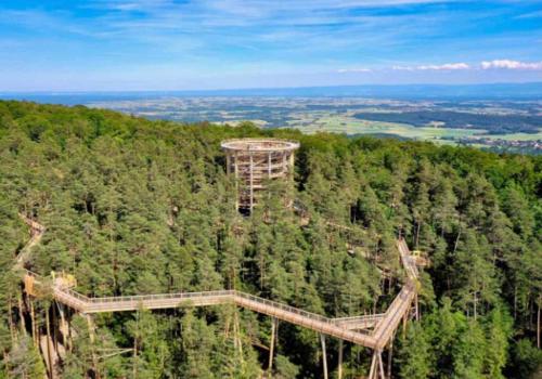 Le studio in Lembach