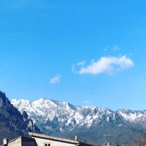 CASA VACANZE ROSA BLU Room Type - Double Room with Park View