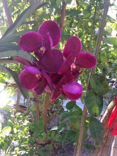 Facilities, Chuanchom Resort in Phatthalung