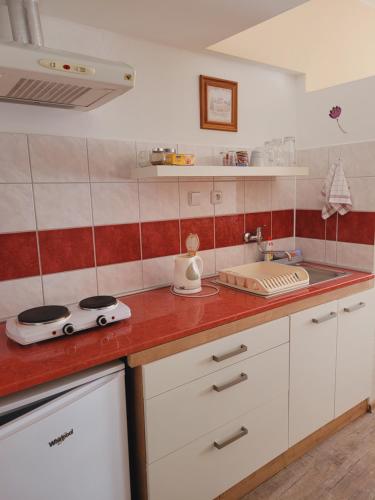 bucătărie, Apartmany Brno in Brno