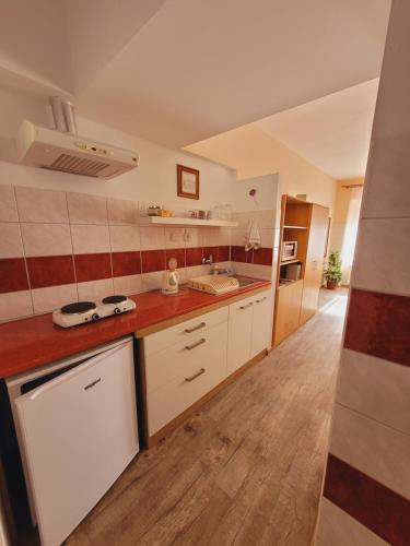 bucătărie, Apartmany Brno in Brno
