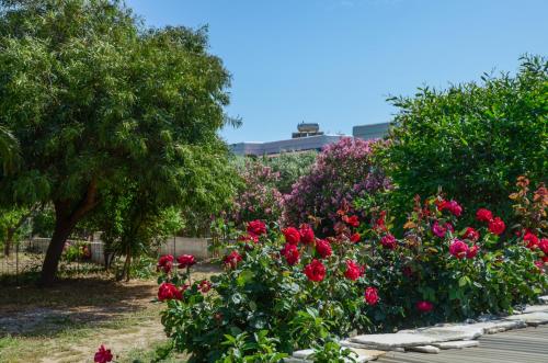 Golden Beach Glyfada Studios