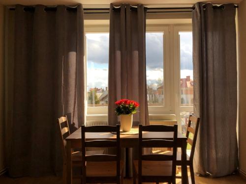. Apartament Śródmieście Krosno