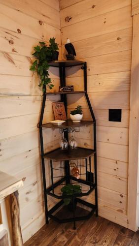 Flying High Luxury Cabin in Campbellsville