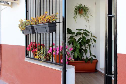 . Apartamento turístico la Vera