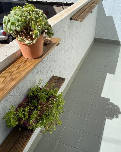 One-Bedroom Apartment image 8