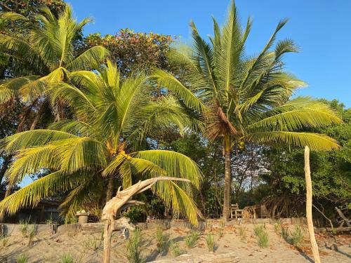 Beachfront Eco Private Cabina