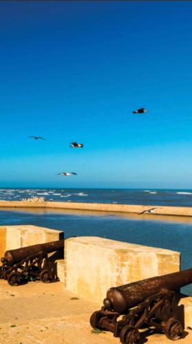 View, Location de reve a El Jadida, juste a cote de la plage, Vivez l'aventure in El Jadida