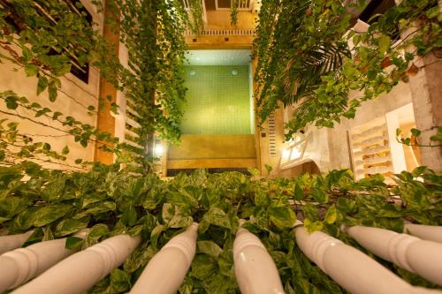 Leones de Alba Hotel Boutique - image 2