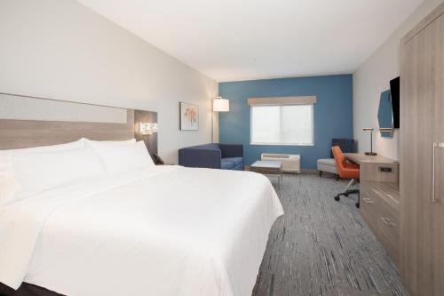 Holiday Inn Express Hotel & Suites Idaho Falls an IHG Hotel - image 9