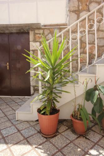 Apartments and rooms with parking space Dubrovnik - 2148 - image 8