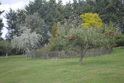 The Willow Studio - peaceful retreat near Whitstable seaside The Willow Studio - peaceful retreat near Whitstable seaside