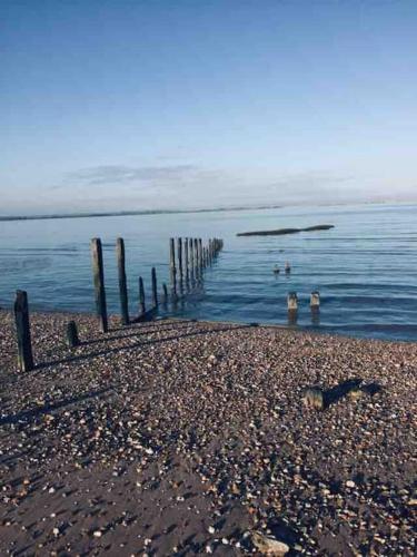 The Willow Studio - peaceful retreat near Whitstable seaside The Willow Studio - peaceful retreat near Whitstable seaside