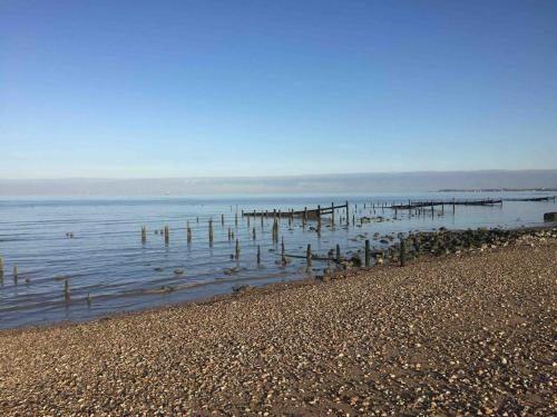 The Willow Studio - peaceful retreat near Whitstable seaside The Willow Studio - peaceful retreat near Whitstable seaside