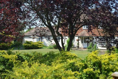 The Willow Studio - peaceful retreat near Whitstable seaside The Willow Studio - peaceful retreat near Whitstable seaside