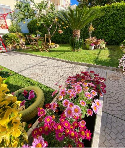 Abuelita 2