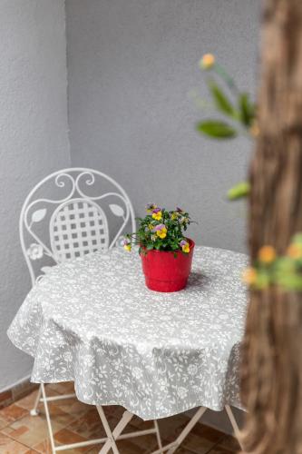 Studio Toniko - main image