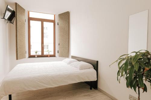 Cozy Apartment in Brussels, Brusel (fotografie 4)