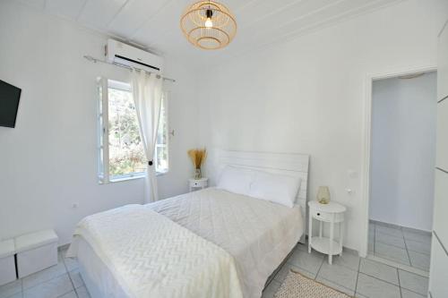 Olivo II Luxury Apartment