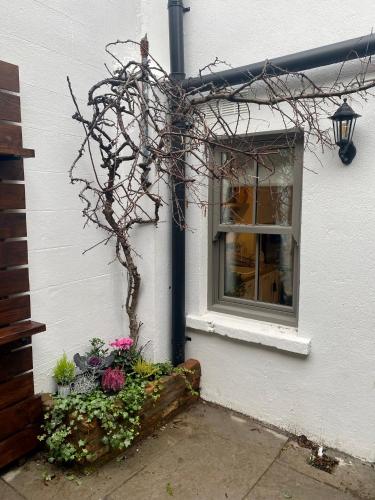 Number 31 Boutique Townhouse 4