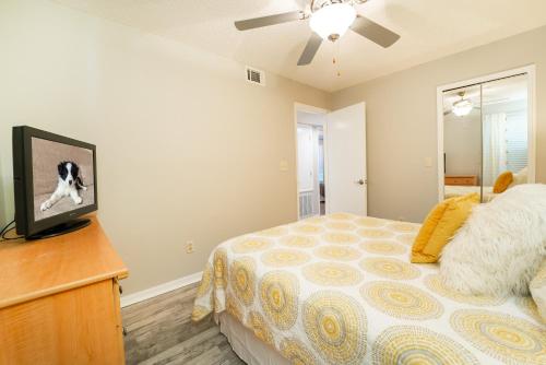 VOS-2739PB-73 - Somerset Gardens (S) - image 13