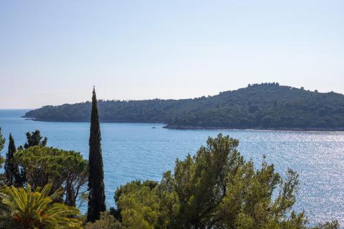 SeaView Apartment Ploce