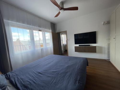 Andel apartment with terrace, Praha (fotografie 7)