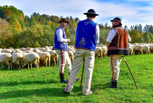 Goralské drevenice Pieniny