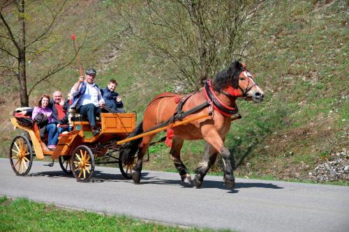 Goralské drevenice Pieniny