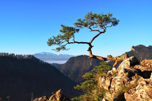 Goralské drevenice Pieniny