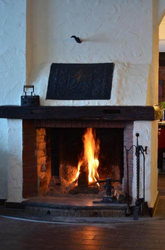 Hotel Altastenberg - image 11